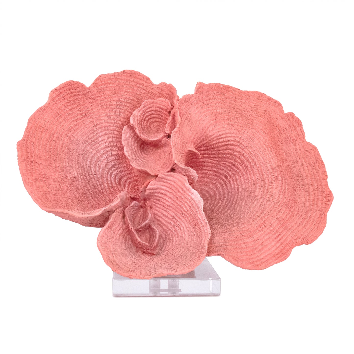 Pink Resin Coral on Acrylic Base